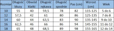DRES PIŁKARSKI DZIECIĘCY SSC NAPOLI 2022/2023 DRES PIŁKARSKI DZIECIĘCY SSC NAPOLI 2022/2023