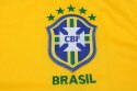 Koszulka Piłkarska Brazylia 2010 Home Retro, Kaka Koszulka Piłkarska Brazylia 2010 Home Retro, Kaka