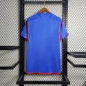 KOSZULKA OLYMPIQUE LYON 2023/2024 AWAY FAN KOSZULKA OLYMPIQUE LYON 2023/2024 AWAY FAN