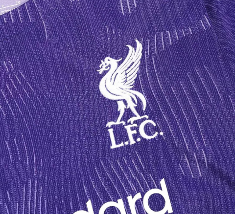 Koszulka Piłkarska LIVERPOOL FC 3RD 2023/2024 FAN Długi Rękaw Koszulka Piłkarska LIVERPOOL FC 3RD 2023/2024 FAN Długi Rękaw