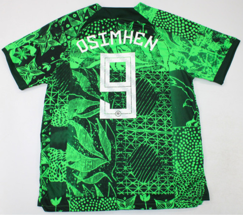 Koszulka piłkarska NIGERIA HOME 2023/2024 FAN Koszulka piłkarska NIGERIA HOME 2023/2024 FAN