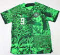 Koszulka piłkarska NIGERIA HOME 2023/2024 FAN Koszulka piłkarska NIGERIA HOME 2023/2024 FAN