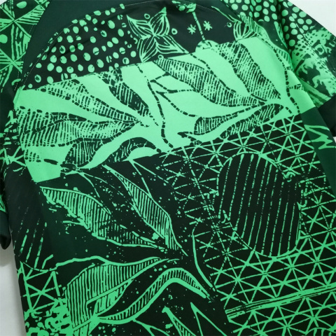 Koszulka piłkarska NIGERIA HOME 2023/2024 FAN Koszulka piłkarska NIGERIA HOME 2023/2024 FAN