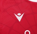 Koszulka piłkarska Crystal Palace 2023/2024 Home Fan Koszulka piłkarska Crystal Palace 2023/2024 Home Fan