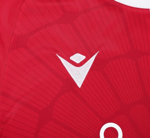 Koszulka piłkarska Crystal Palace 2023/2024 Home Fan Koszulka piłkarska Crystal Palace 2023/2024 Home Fan