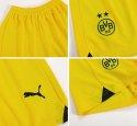 Piłkarski Komplet Strój Dziecięcy Borussia Dortmund Away 2023/2024 Piłkarski Komplet Strój Dziecięcy Borussia Dortmund Away 2023/2024